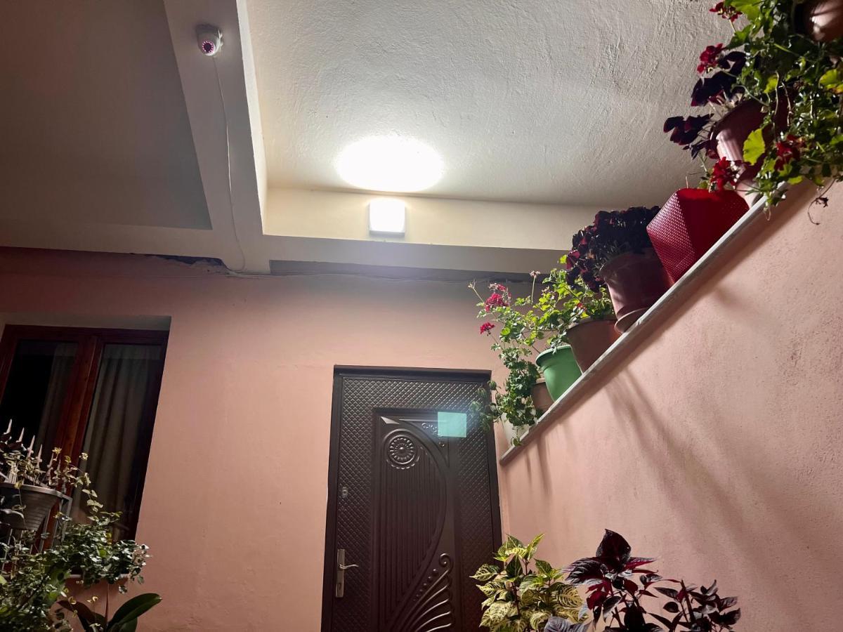 Villa Ensalv Berat - Apartment - Room - Penthouse Ngoại thất bức ảnh