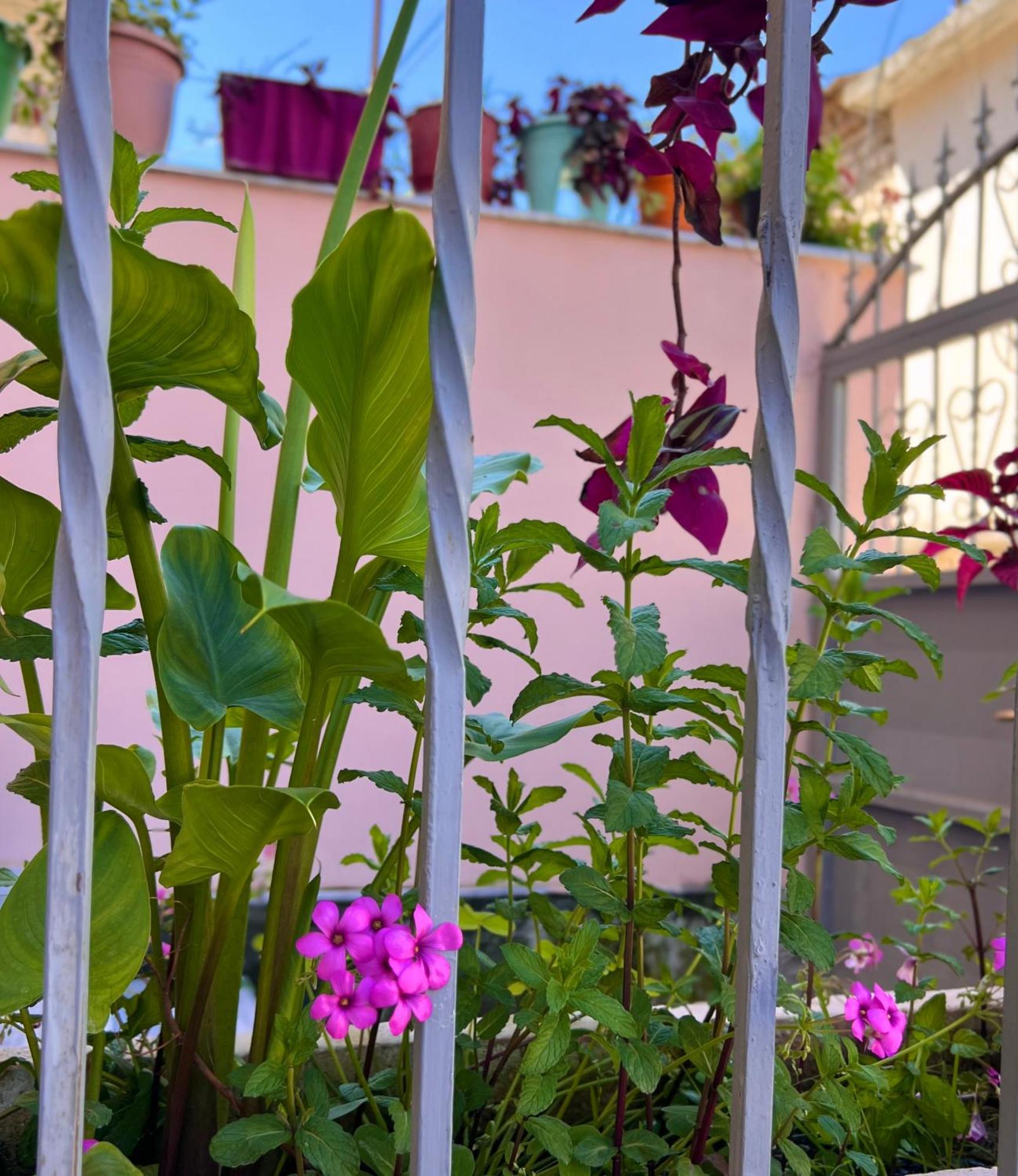 Villa Ensalv Berat - Apartment - Room - Penthouse Ngoại thất bức ảnh