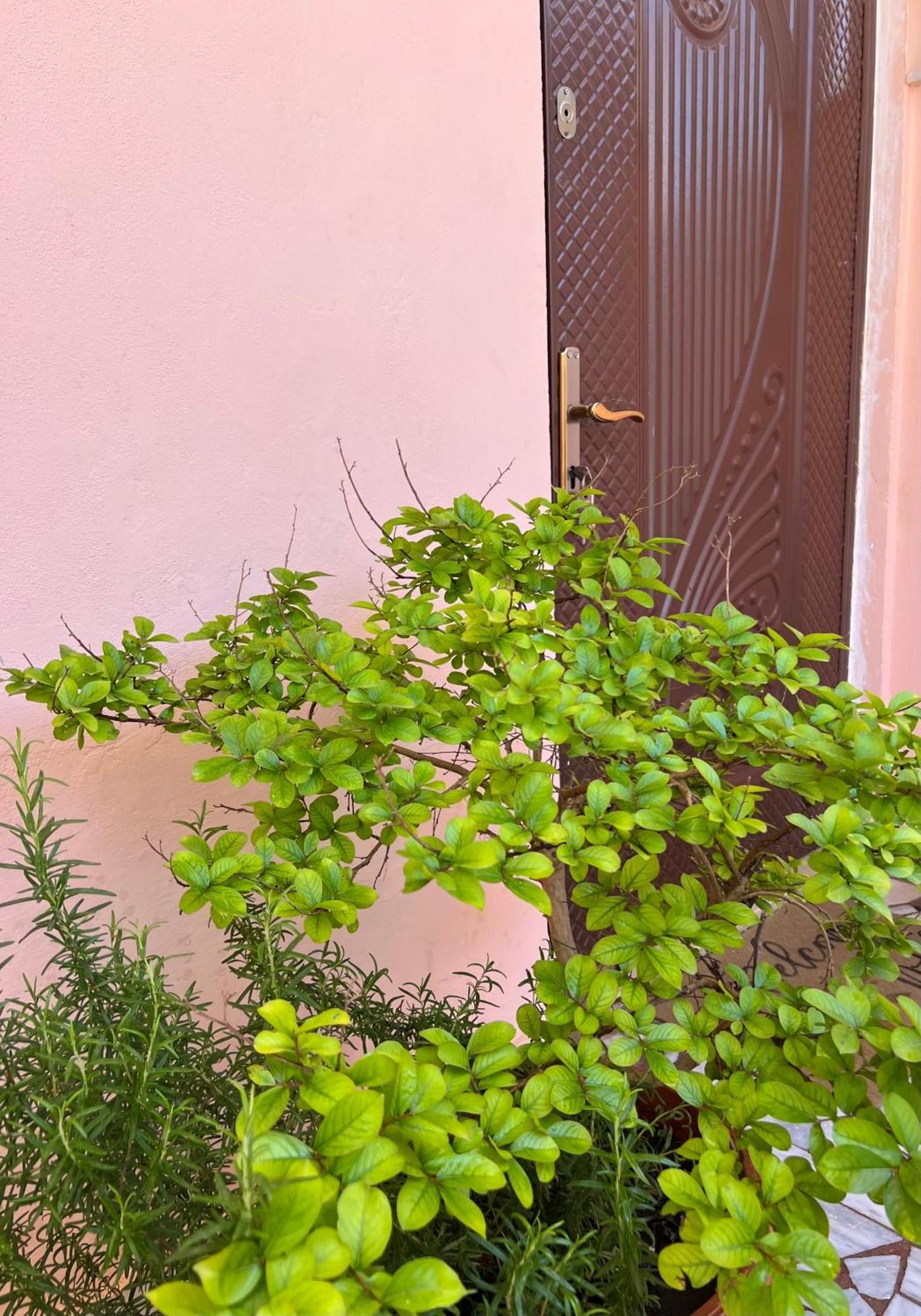 Villa Ensalv Berat - Apartment - Room - Penthouse Ngoại thất bức ảnh