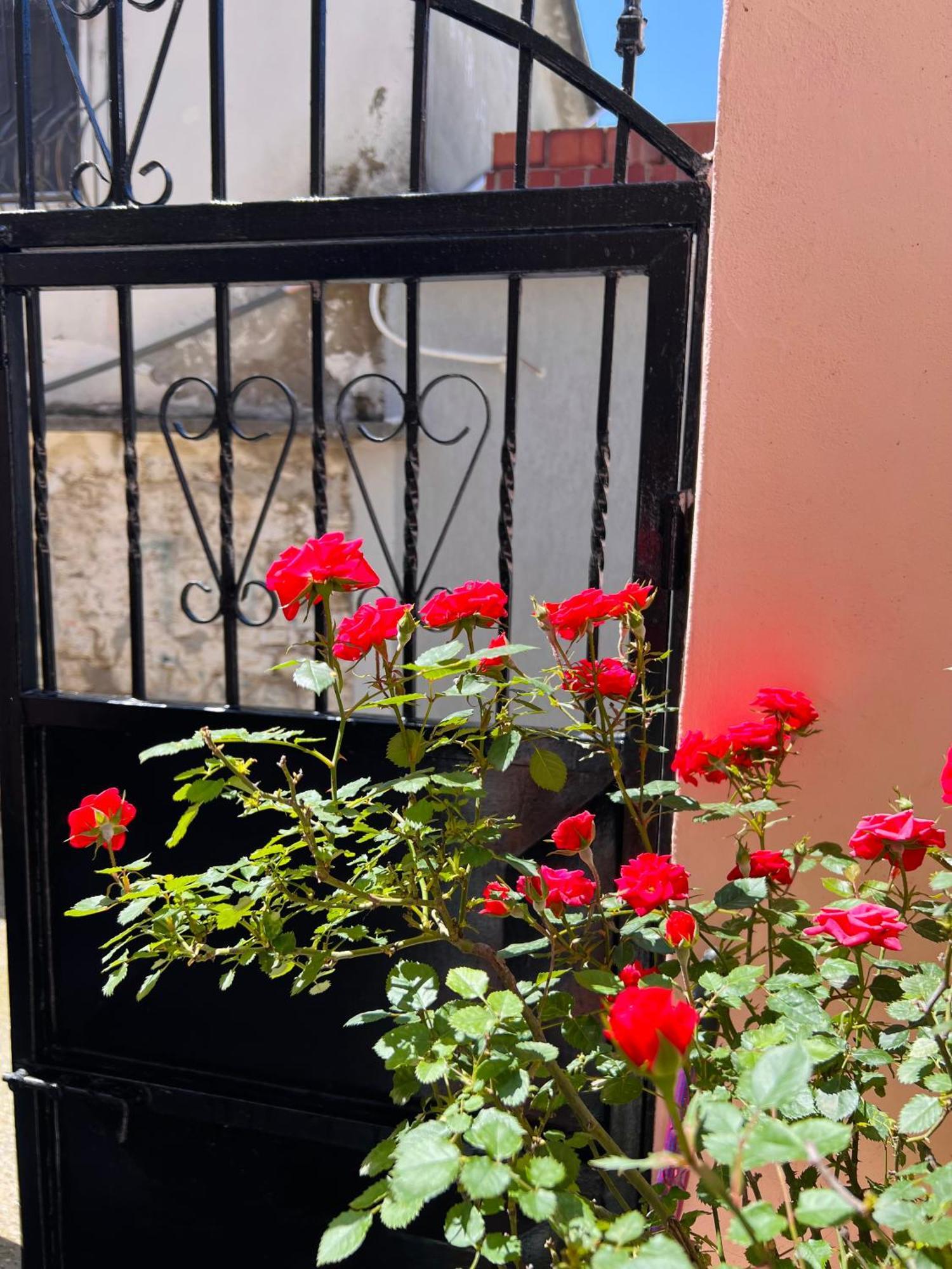 Villa Ensalv Berat - Apartment - Room - Penthouse Ngoại thất bức ảnh